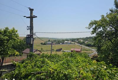 Teren de 1000 mp, în Horlești - 4