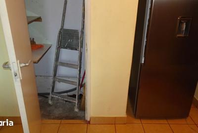 Apartament cu 2 camere semidecomandat în Gojdu - 12