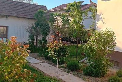 Casă cu 2 camere în Albești - 4