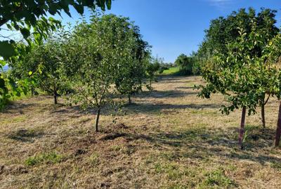 Casă cu 3 camere în Izvor - 2