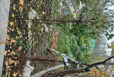 Casă cu 3 camere cu Teren 1000 Mp în Central - 6
