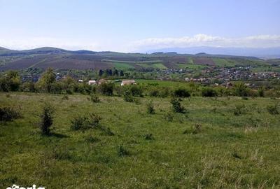 Teren de 5000 mp, în Șura Mare