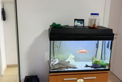 Tineretului Unirii SPLAI,ASMITA GARDENS DECOMANDAT centrala, loc parcare,MERITA! - 2