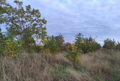 RECO Teren intravilan Miersig RECO Teren intravilan Miersig - 4