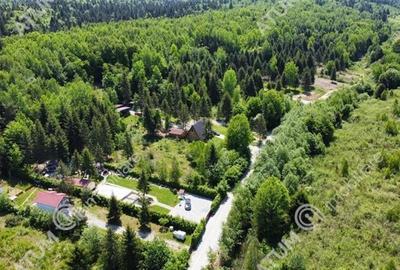 Teren 1000 mp Intravilan in Avrig zona turistica Valea Avrigului - 2