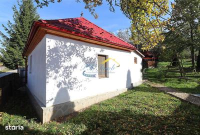 Casă cu 1 camere cu Teren 267 Mp în Valea Doftanei - 2