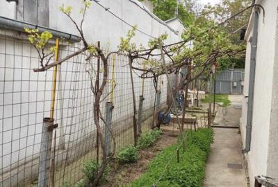 Vand casa curte Braila , zona Pod Brailita - 9