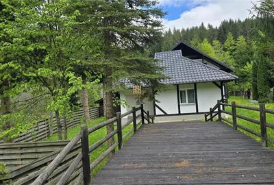 Casa de Vacanta la Munte! In Bucovina! De Vanzare! 0727817187 - 9