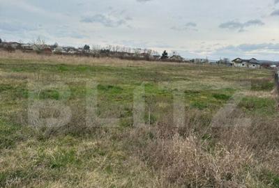 Teren intravilan cu toate utilitatile disponibile Dragomires - 3