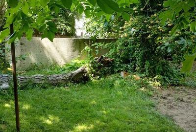 Spațiu comercial, de 150 mp, în Central - 3