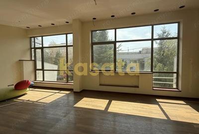 Vanzare teren 1484 mp ?oseaua Nordului ?i vila renovabila - 7