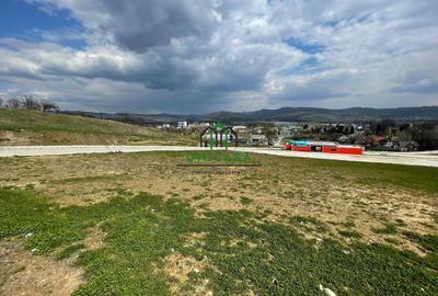 Teren intravilan - Calea Lui Traian - Zona Cetatuia - 10