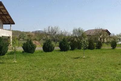 Casa cu teren de vanzare in Tautii-Magheraus - 58 Ari - 5