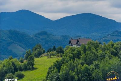 Teren de 10335 mp, în Poiana Mărului - 6