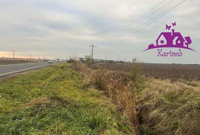 Teren pentru hale soseaua Nojorid Les - 3