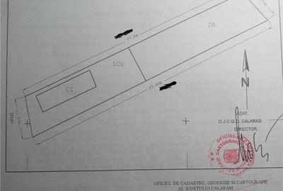 Casă cu Teren 978 Mp în Podu Pitarului - 1