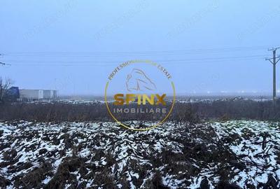 Teren de 14500 mp, în Bolintin-Deal - 3