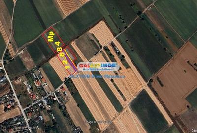 Crevedia - Darza - Teren 13.055 Mp Crevedia - Darza - Teren 13.055 Mp - 14