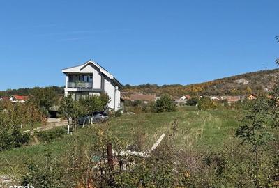 Spațiu comercial, în Betfia - 3