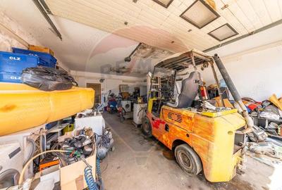 Spa?iu industrial cu potential de vanzare in Paulis,Arad - 4