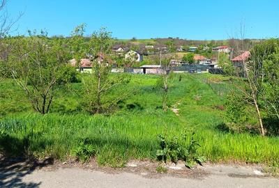 Teren Construcții intravilan de 1787 mp, în Miroslava - 2