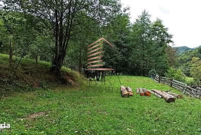 Spațiu comercial, în Bulz - 3