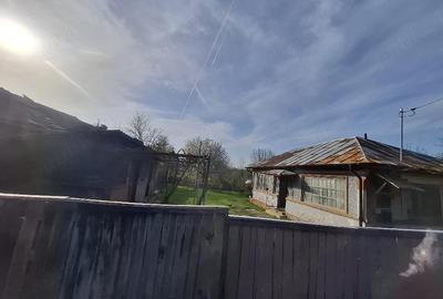 Casă cu Teren 1273 Mp în Dobra - 2