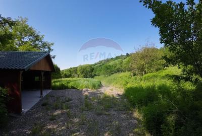 Teren agricol extravilan de 5144 mp, în Est - 2