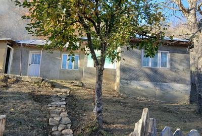 Vand casa Reghiu - 2