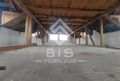 Cladire P+1+M cu destinatie mixta - 2