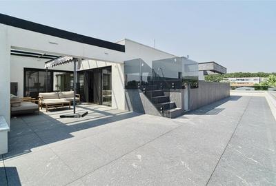 Penthouse cu 5 camere decomandat, mobilat în Iancu Nicolae - 20