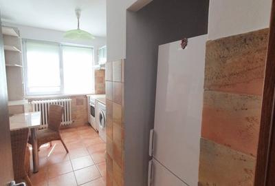 GORJULUI - Metrou vanzare apartament 2 camere - 8