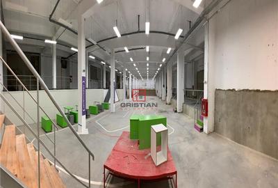 Depozit/hala/spatiu industrial Politehnica - Apaca - 6