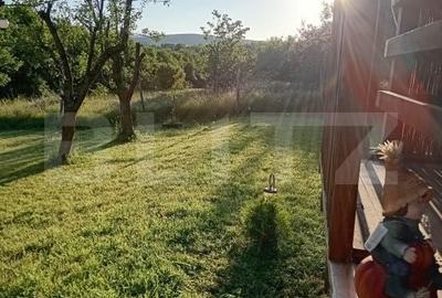 Teren de 661 mp, în Cârjiți - 5