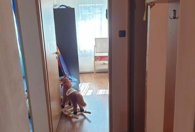 Apartament 3 camere, de vanzare - 7