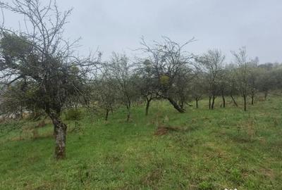 Teren în Groși - 2