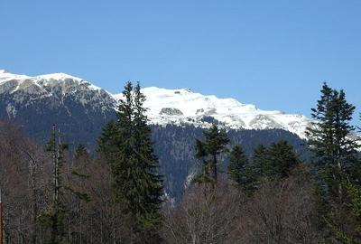 Teren intravilan Parcul Natural Bucegi - Sinaia Cota 1000 - 6