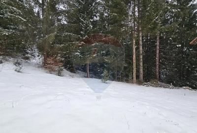 Teren de 430 mp, în Gura Humorului - 7