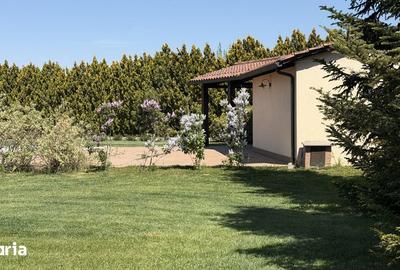 Casă cu 7 camere cu Teren 6700 Mp în Cernica - 1