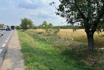 Teren de 7.000 de mp, Calea Clujului, zona showroom-uri auto, dublu front strada - 2