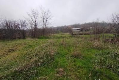 Teren în Brestei - 1