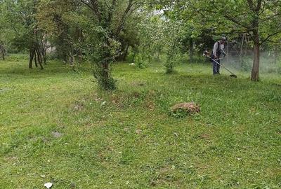 Teren de 1860 mp, în Valea Unghiului - 2