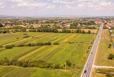 Teren extravilan Lunca Calnicului langa E574 - 4