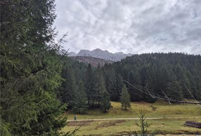 Teren intravilan panoramic 4.600mp,view iconic Piatra Craiul - 5