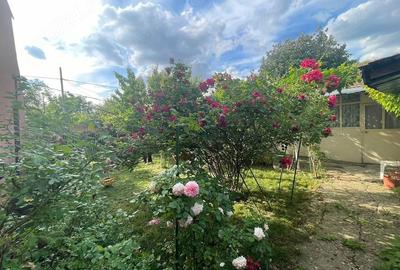 Casă cu 5 camere cu Teren 280 Mp în Pantelimon - 4