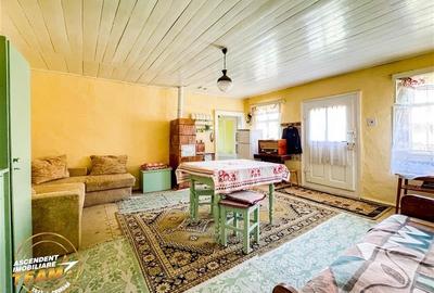 FILM! Doua case+anexe,rezidential/ comercial/de vacanta,Zagon,Covasna - 4