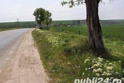 Teren de 45000 mp, în Central - 4