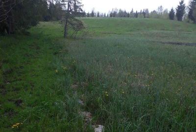 Teren de 9466 mp, în Dealu Negru - 3