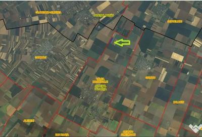 Teren de 10000 mp, în Valea Măcrișului - 2