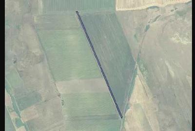 Teren de 10000 mp, în Nord-Vest - 1